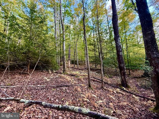 7-8 (2.57 Ac) Valley Road Oakland, MD 21550 - Photo 5 of 15 secluded and private