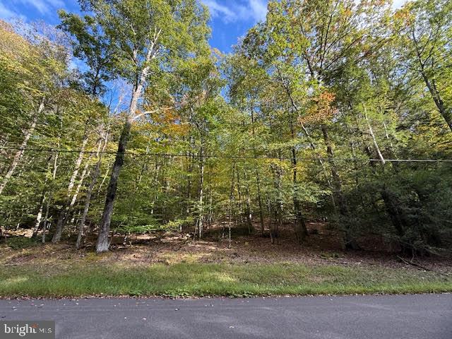 7-8 (2.57 Ac) Valley Road Oakland, MD 21550 - Photo 6 of 15 View from Valley Rd