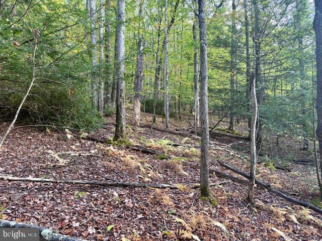 7-8 (2.57 Ac) Valley Road Oakland, MD 21550 - Photo 7 of 15 Nature surrounding you!