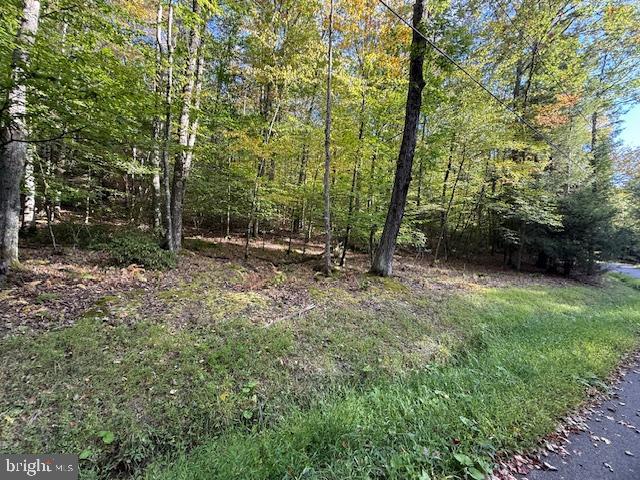 7-8 (2.57 Ac) Valley Road Oakland, MD 21550 - Photo 8 of 15 Bottom of 2 lots, from Valley Rd