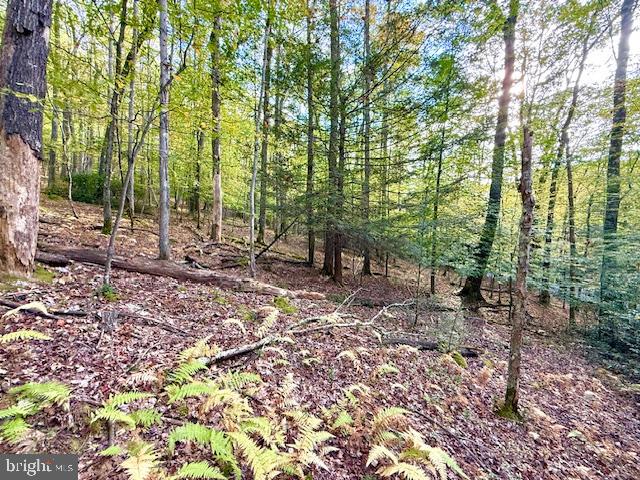 7-8 (2.57 Ac) Valley Road Oakland, MD 21550 - Photo 9 of 15 Tree lined landscape w/clearings