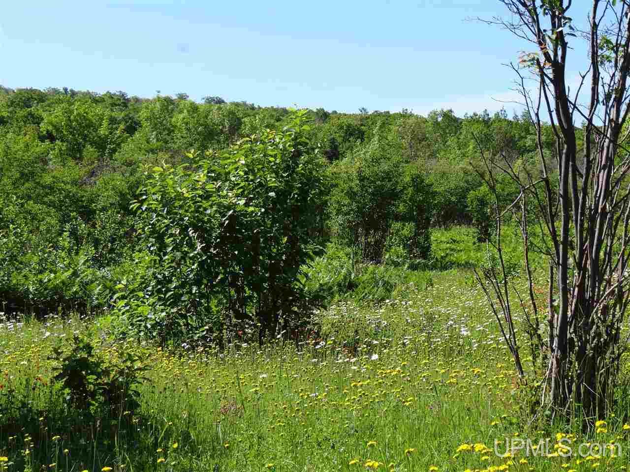 Tbd Sedar Hill Road Calumet, MI 49913 - Photo 19 of 21