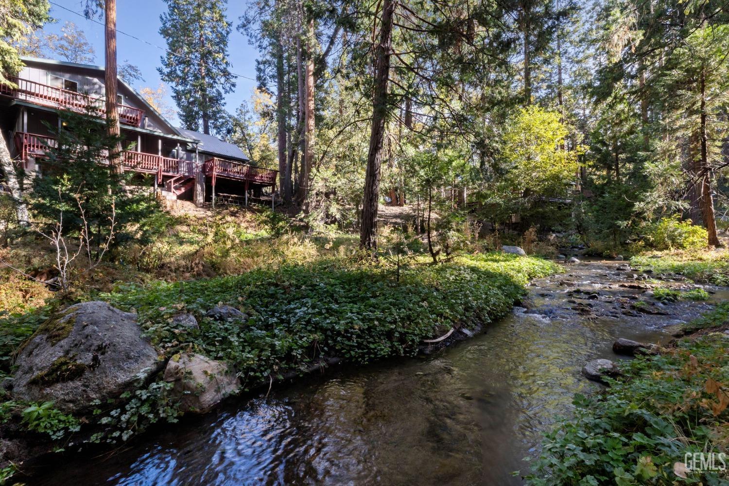 a view of a garden with plants