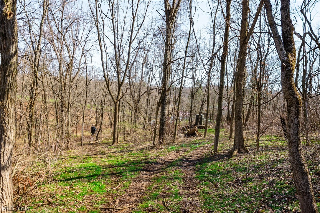 135 Township Road Adena, OH 43901 - Photo 16 of 47