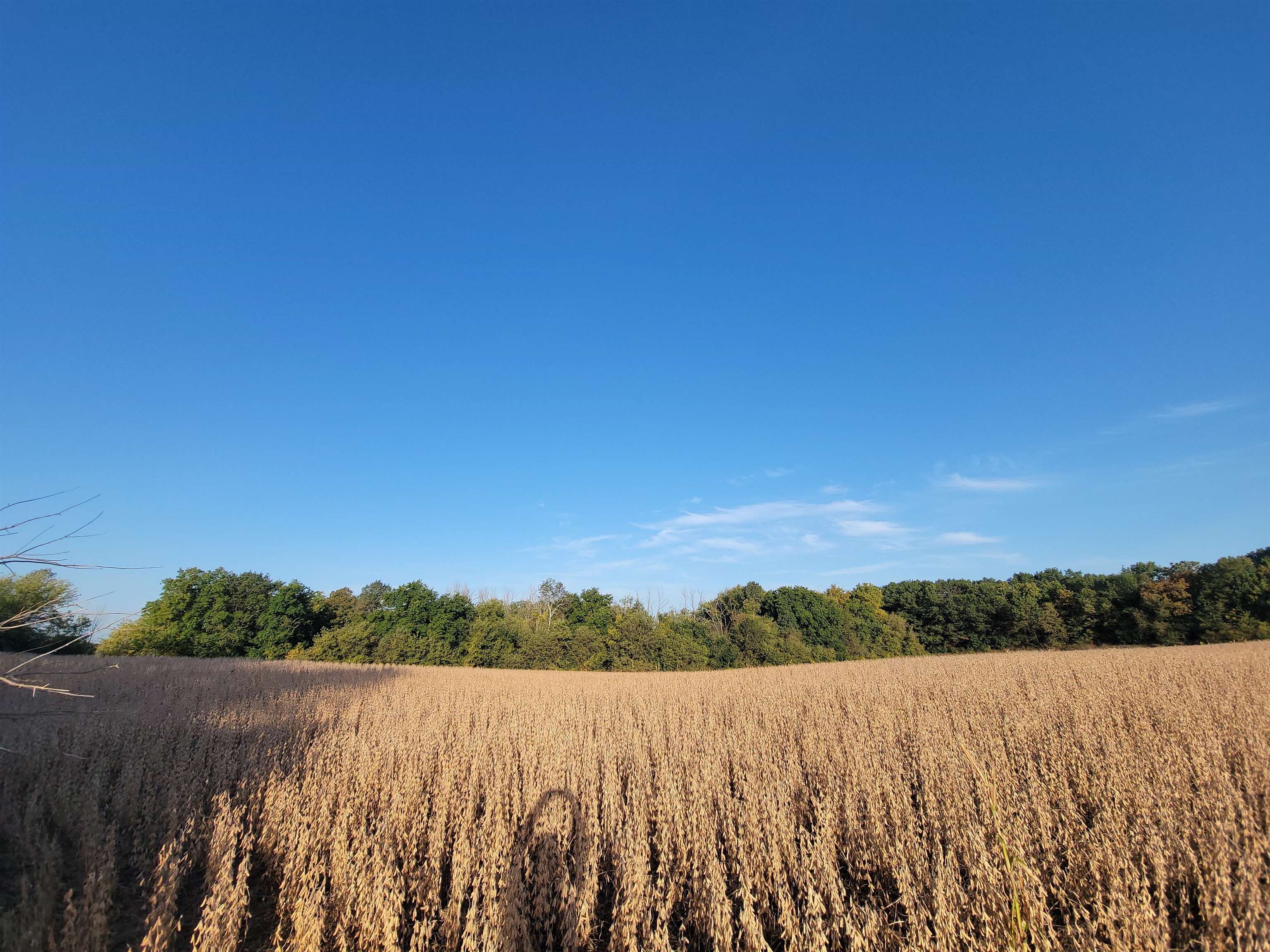 Hillcrest Road Fond du Lac, WI 54937 - Photo 2 of 7