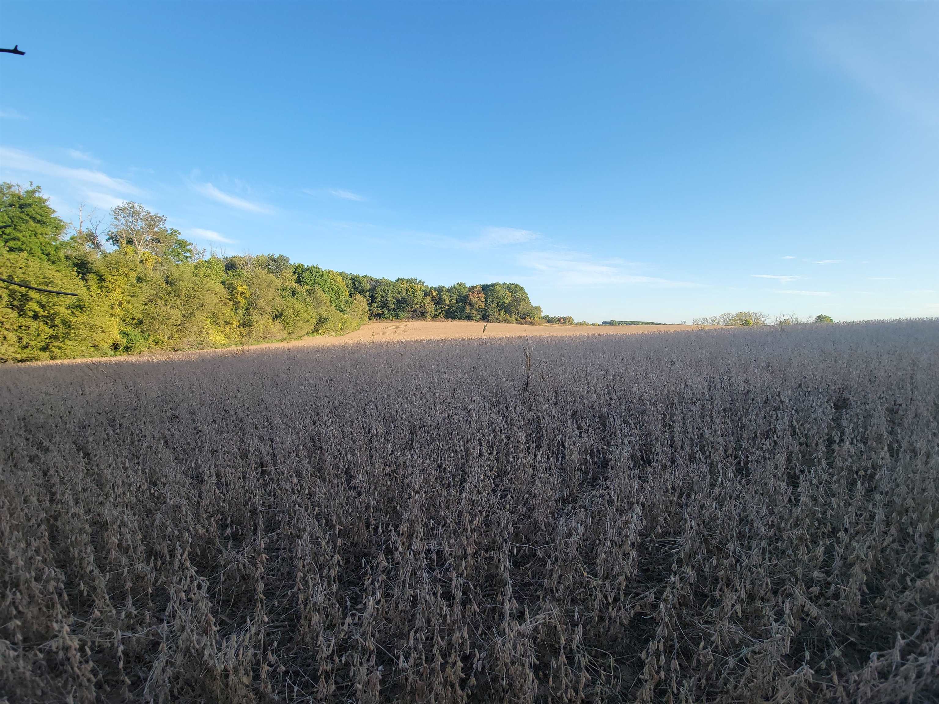 Hillcrest Road Fond du Lac, WI 54937 - Photo 3 of 7