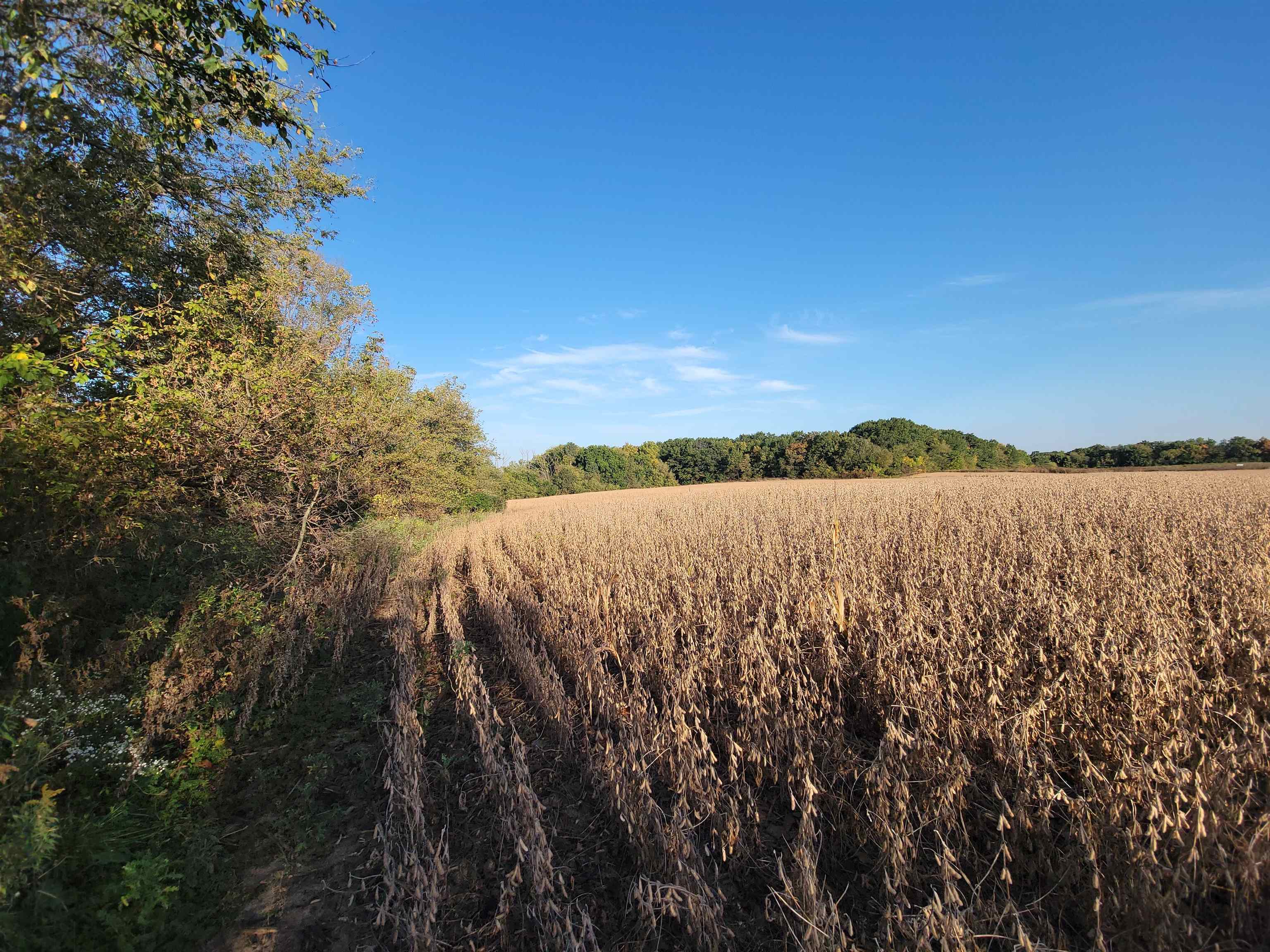 Hillcrest Road Fond du Lac, WI 54937 - Photo 5 of 7