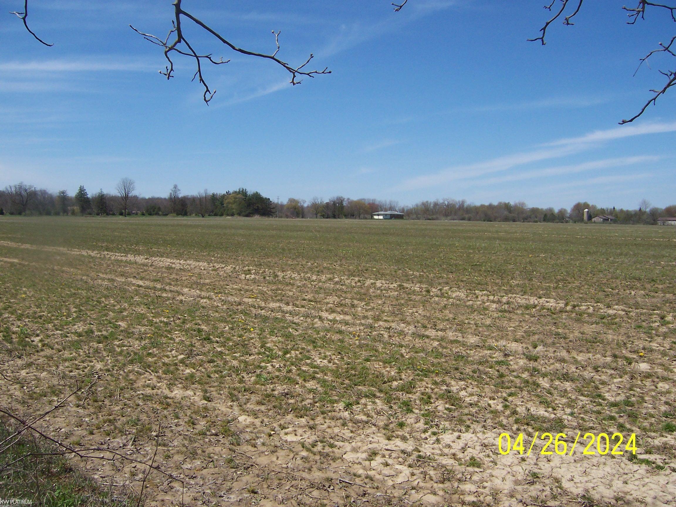 Stoddard Road Columbus, MI 48063 - Photo 1 of 5