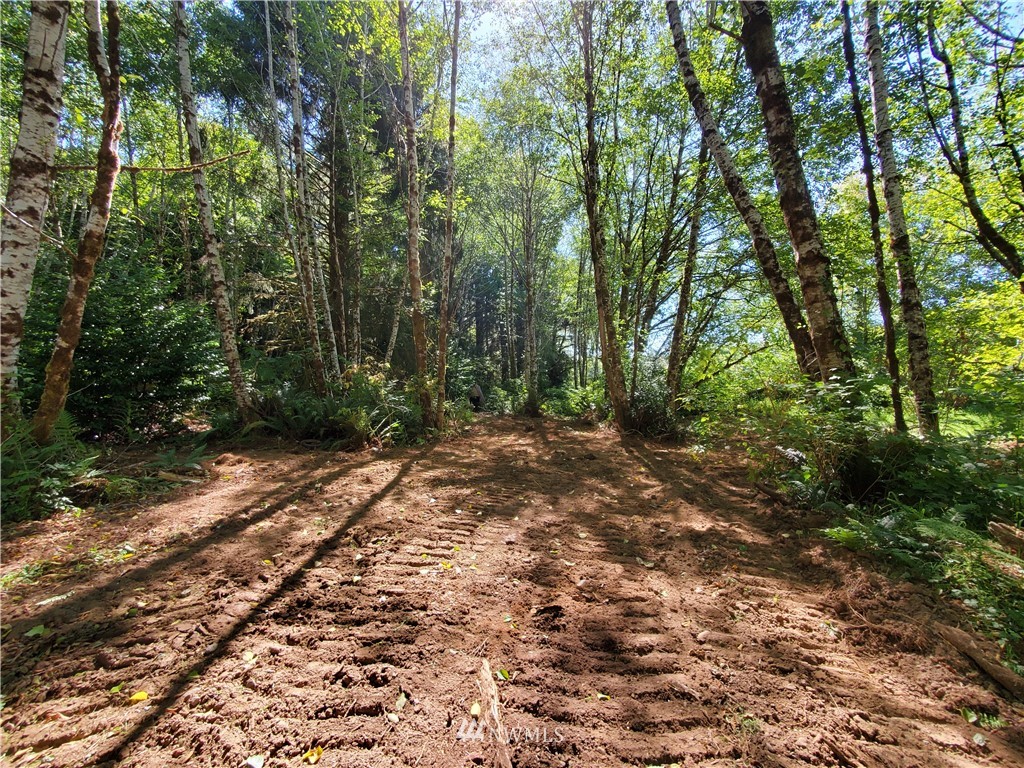 9910 Goodman Mainline Road Forks, WA 98331 - Photo 14 of 16 Gallery Image 14