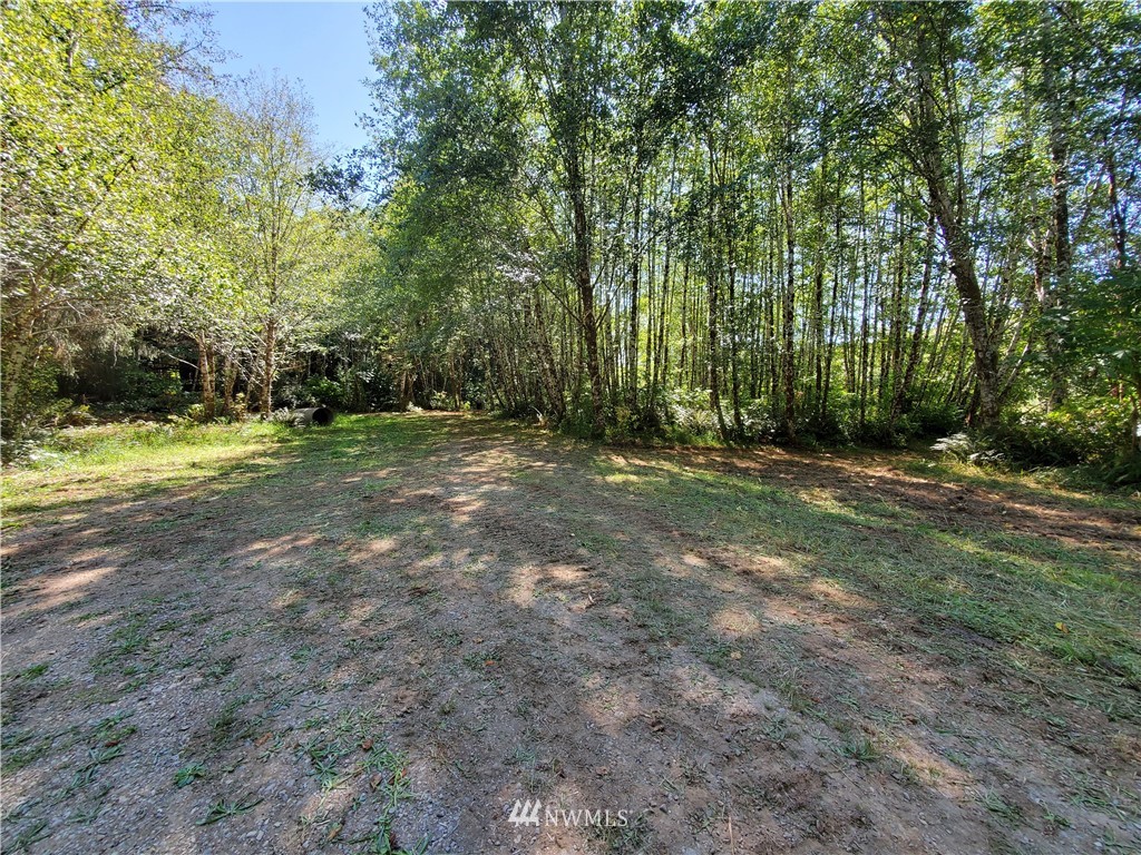 9910 Goodman Mainline Road Forks, WA 98331 - Photo 7 of 16 Gallery Image 7