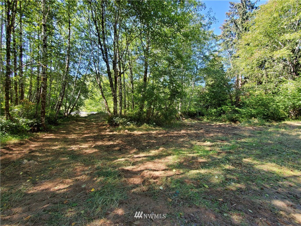 9910 Goodman Mainline Road Forks, WA 98331 - Photo 8 of 16 Gallery Image 8