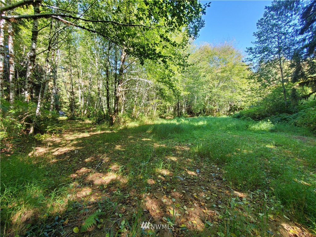 9910 Goodman Mainline Road Forks, WA 98331 - Photo 9 of 16 Gallery Image 9