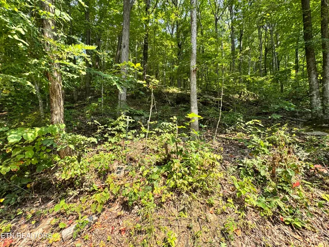 $165,000 | 30 Holden Hollow Road, Jamestown, TN 38556