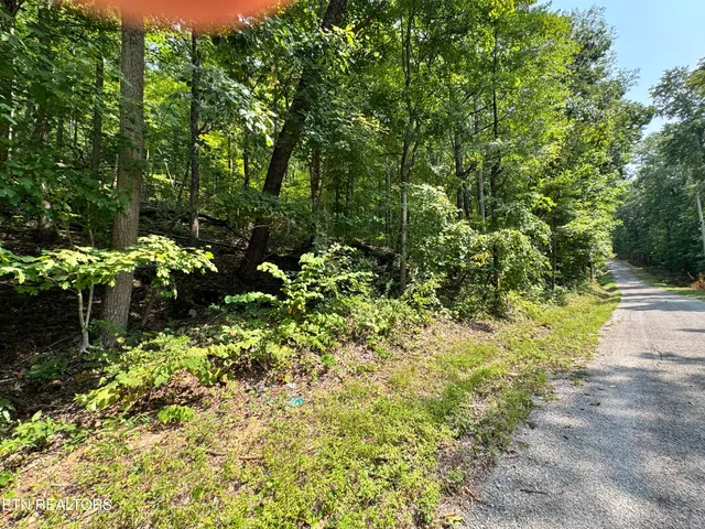 $165,000 | 30 Holden Hollow Road, Jamestown, TN 38556
