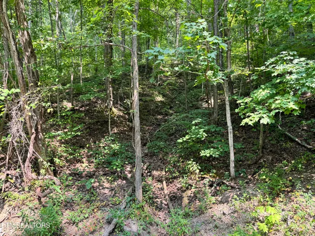 $165,000 | 30 Holden Hollow Road, Jamestown, TN 38556