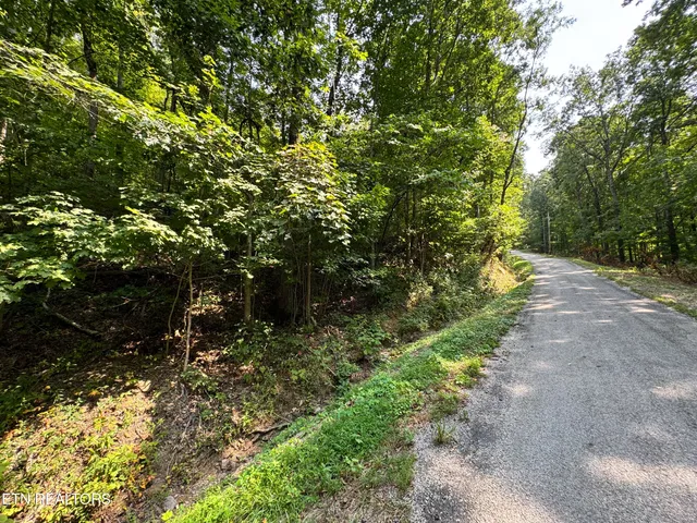 $165,000 | 30 Holden Hollow Road, Jamestown, TN 38556