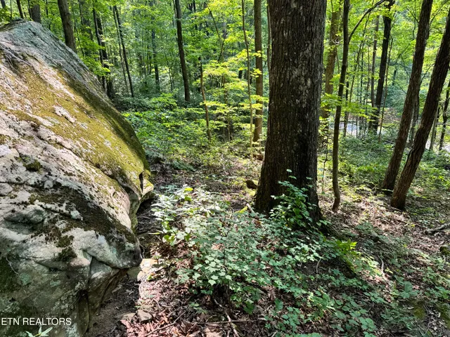 $165,000 | 30 Holden Hollow Road, Jamestown, TN 38556