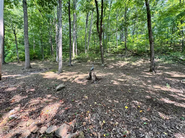 $165,000 | 30 Holden Hollow Road, Jamestown, TN 38556