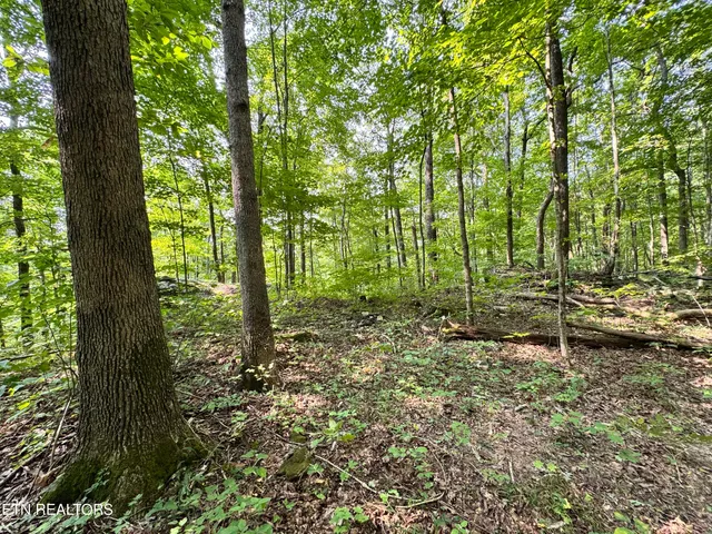 $165,000 | 30 Holden Hollow Road, Jamestown, TN 38556