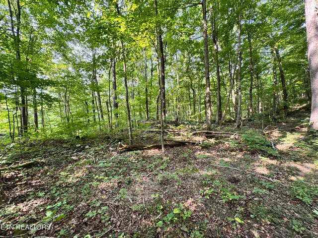 $165,000 | 30 Holden Hollow Road, Jamestown, TN 38556