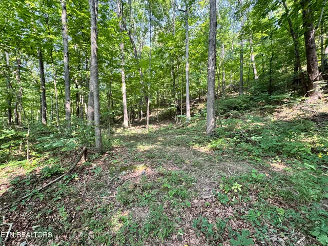 $165,000 | 30 Holden Hollow Road, Jamestown, TN 38556