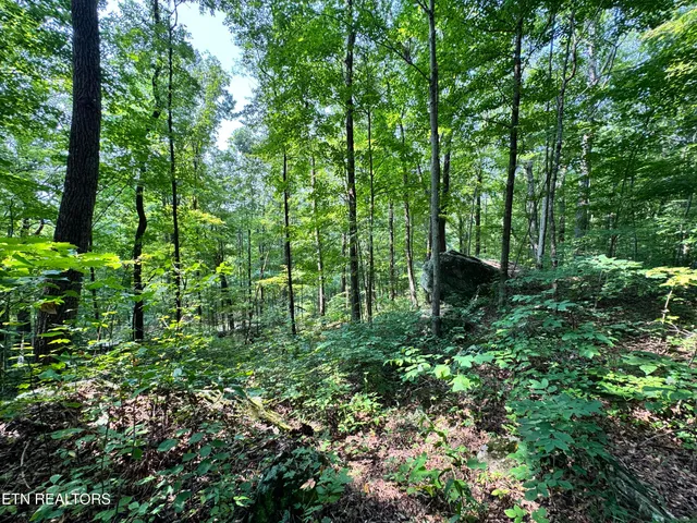 $165,000 | 30 Holden Hollow Road, Jamestown, TN 38556