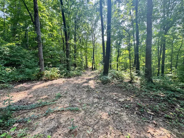 $165,000 | 30 Holden Hollow Road, Jamestown, TN 38556