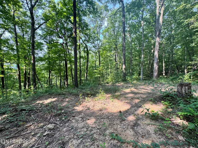 $165,000 | 30 Holden Hollow Road, Jamestown, TN 38556