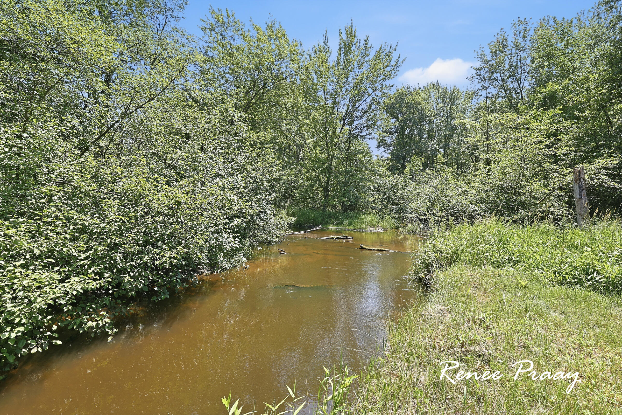 2956 Debaker Road Muskegon, MI 49444 - Photo 42 of 46 IMG_1822