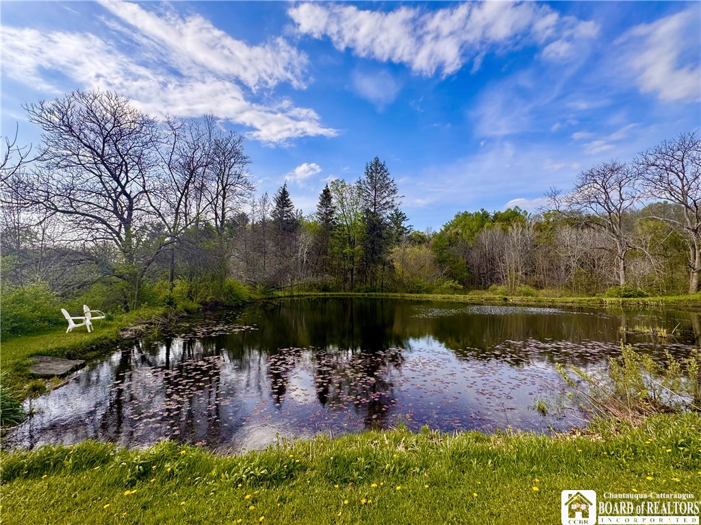 5166 Pickard Road Dewittville, NY 14728 - Photo 7 of 46 Pond 1