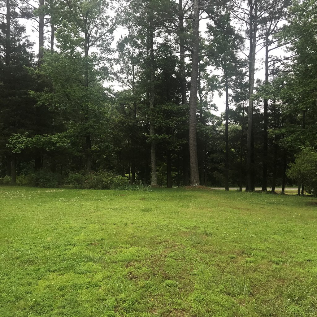 64 Skippers Lodge Road Cross Hill, SC 29332 - Photo 7 of 25 Gallery Image 7