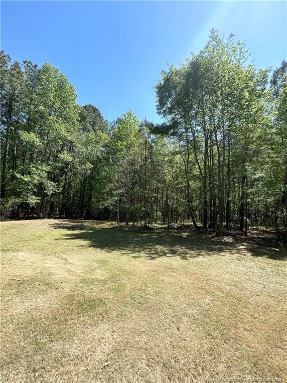 110 Kinton Drive Willow Spring, NC 27592 - Photo 42 of 50 a view of a swimming pool with a yard