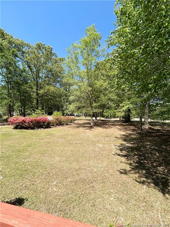 110 Kinton Drive Willow Spring, NC 27592 - Photo 6 of 50 a view of lake view
