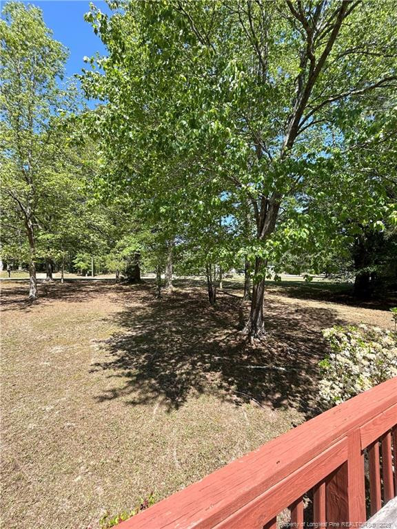 110 Kinton Drive Willow Spring, NC 27592 - Photo 7 of 50 a view of a yard with wooden fence
