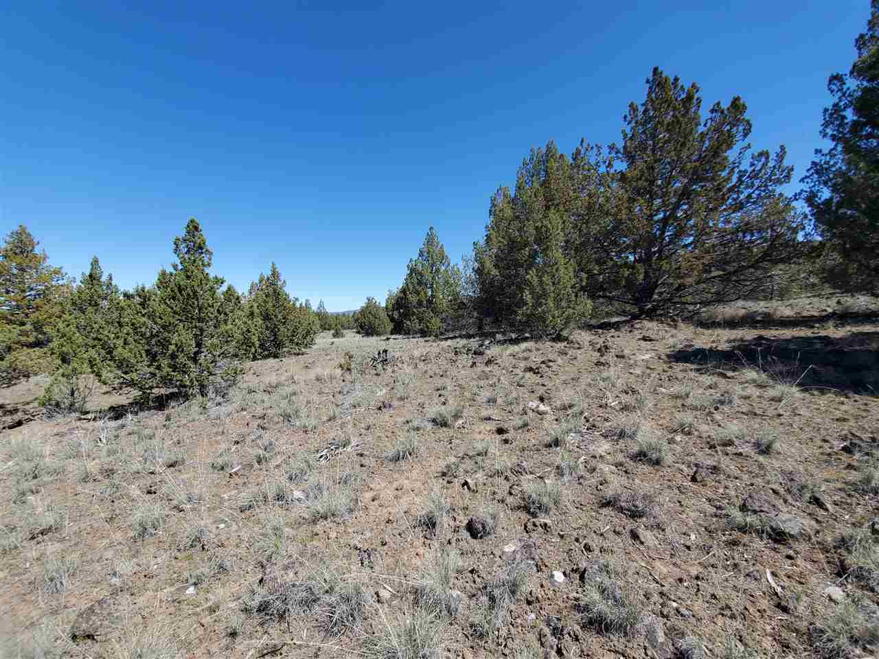 Off Homeland Rd Off Homeland Road Macdoel, CA 96058 - Photo 14 of 24 Gallery Image 14