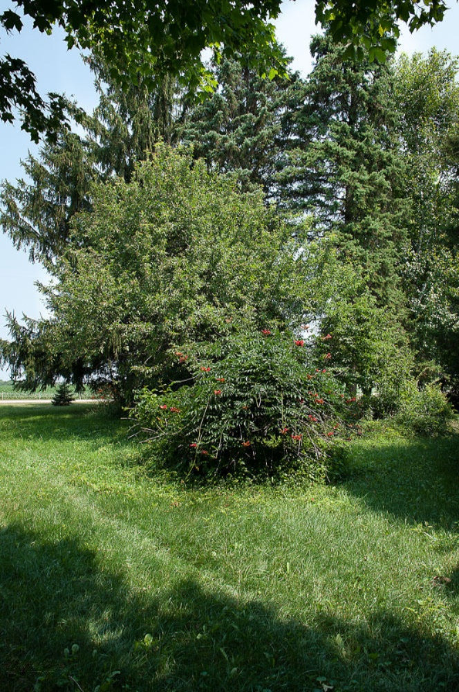 4703 McBride Road Northwest Stanton, MI 48888 - Photo 32 of 32 IMGP0081