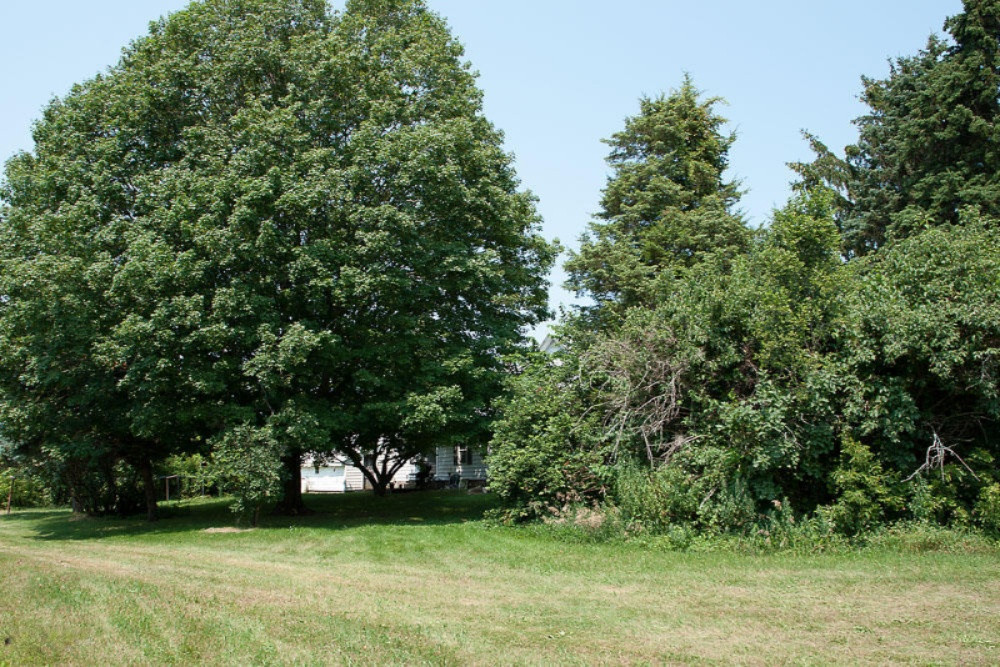 4703 McBride Road Northwest Stanton, MI 48888 - Photo 7 of 32 IMGP0080