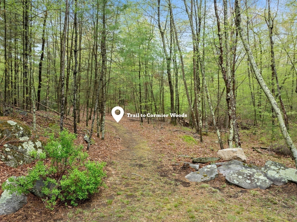 49 Asylum Street Mendon, MA 01756 - Photo 41 of 41 Gallery Image 41