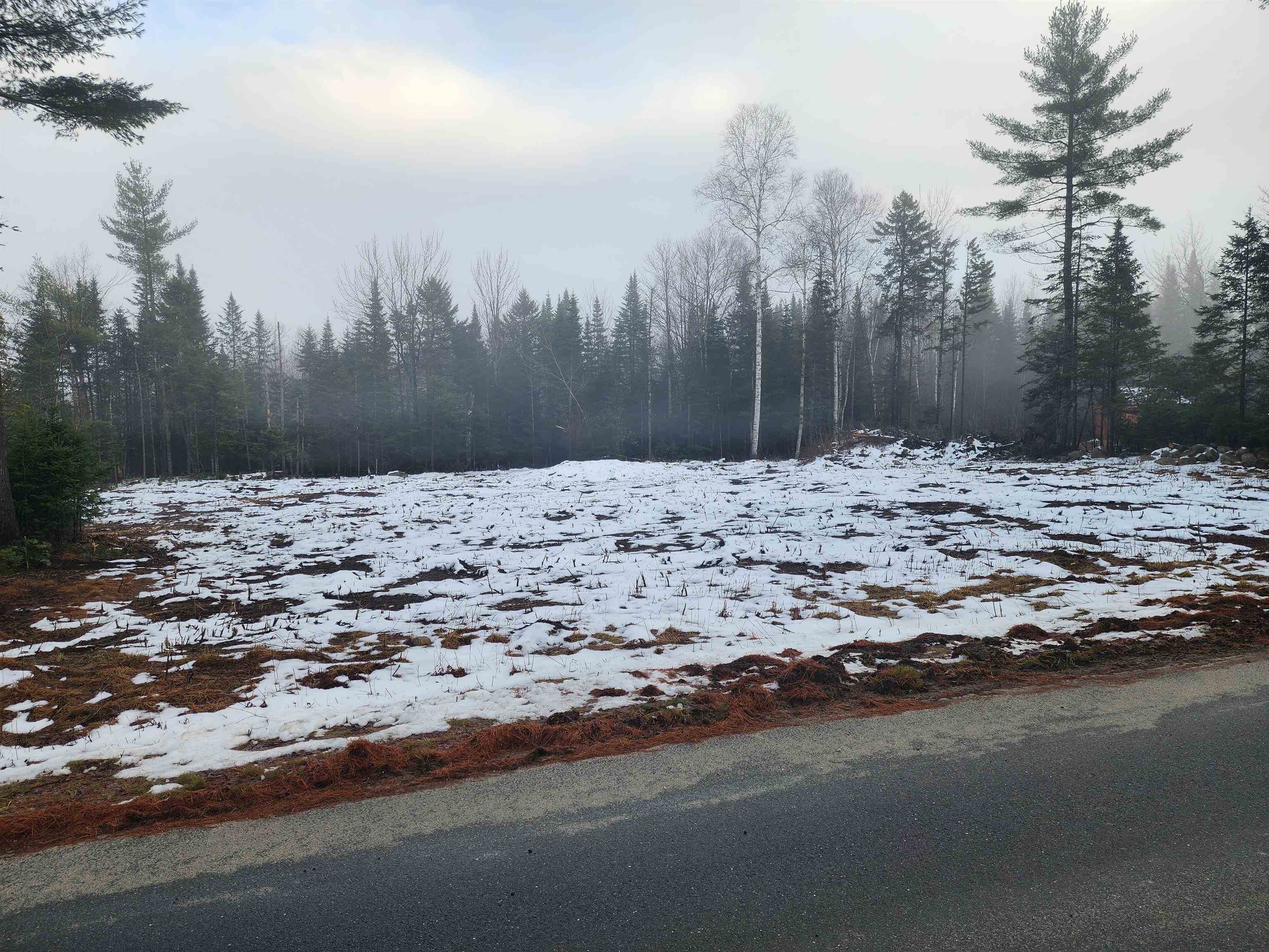 0 Little River Road Twin Mountain, NH 03595 - Photo 4 of 5