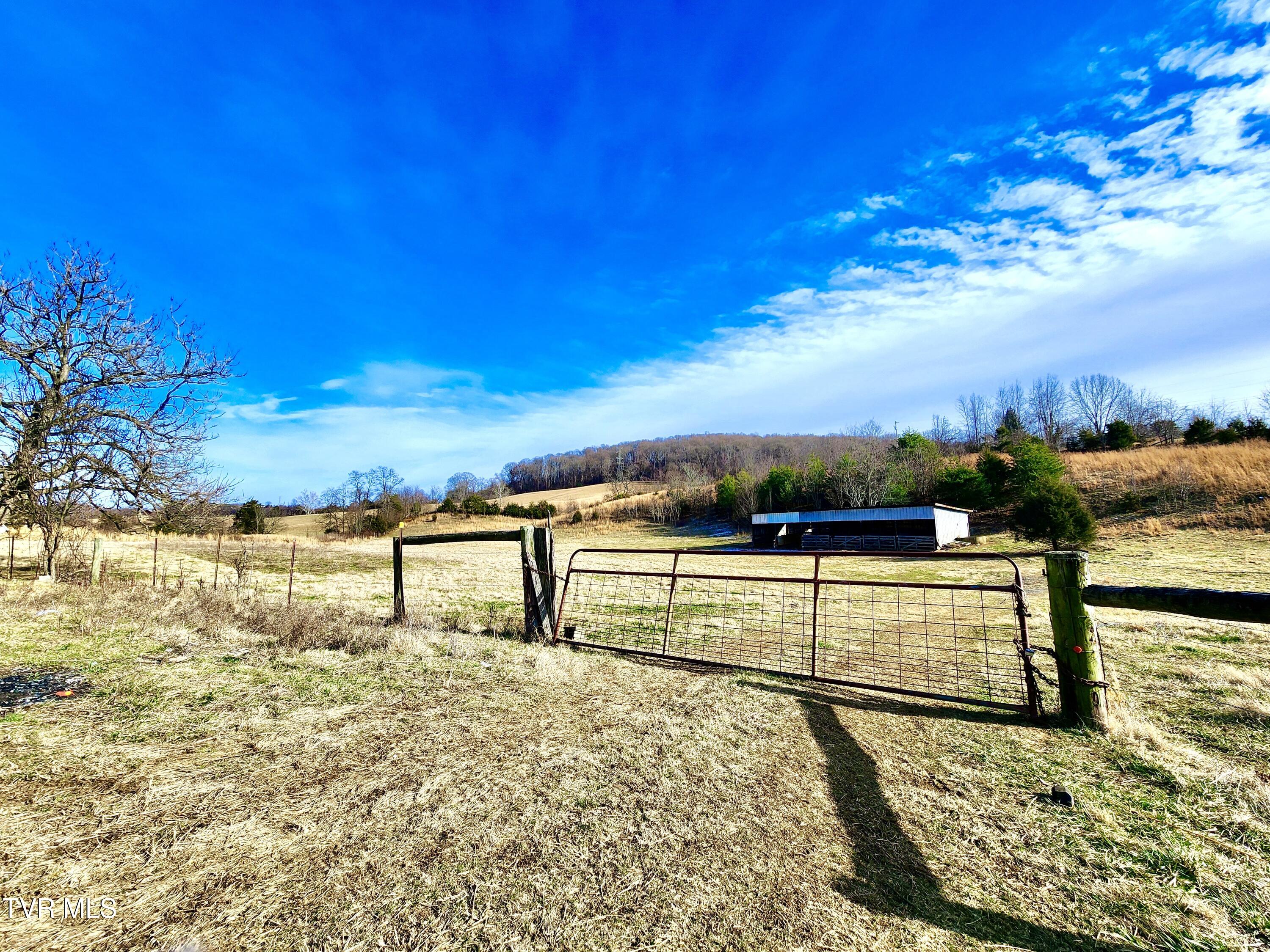626 Conklin Road Jonesborough, TN 37659 - Photo 7 of 38 IMG_0919