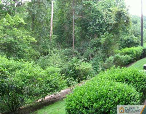 273 Prestwick Way Edison, NJ 08820 - Photo 5 of 6 a view of a lush green forest