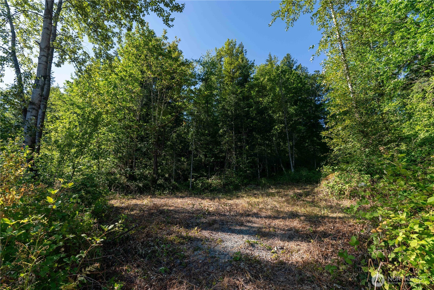 14405 Whiteman Road Gold Bar, WA 98251 - Photo 23 of 37