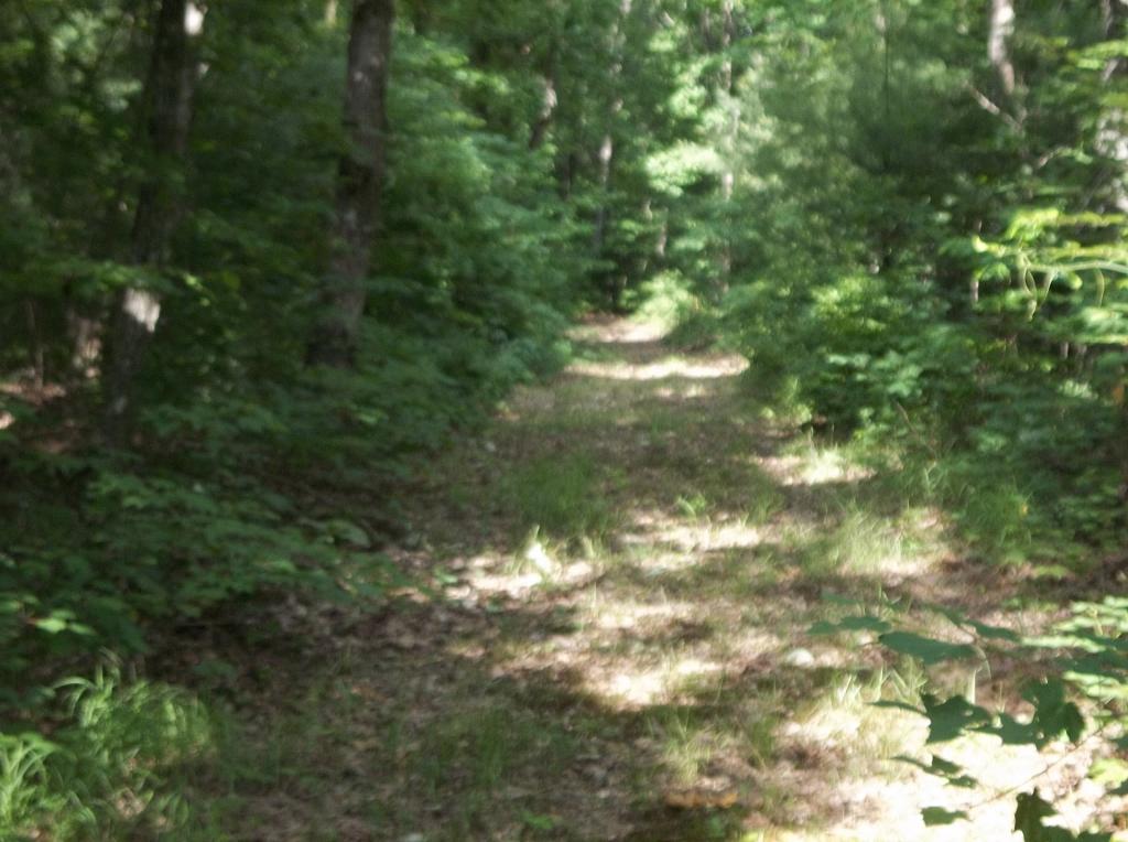 5 Lou Road, Unit 53 Pikeville, TN 37367 - Photo 6 of 22 11