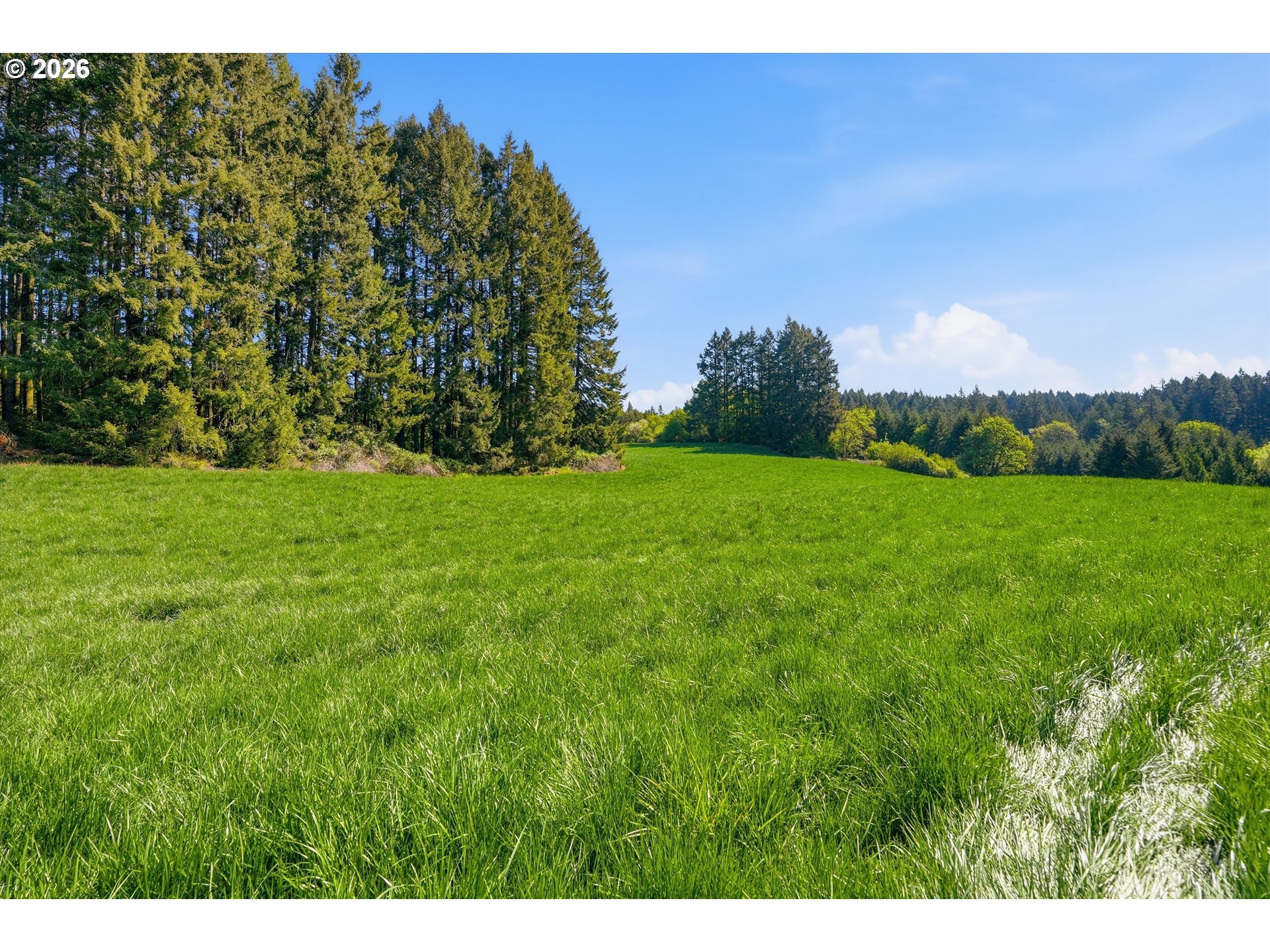 20270 Northwest Pihl Road Banks, OR 97106 - Photo 11 of 47 a view of a big yard with plants and large trees