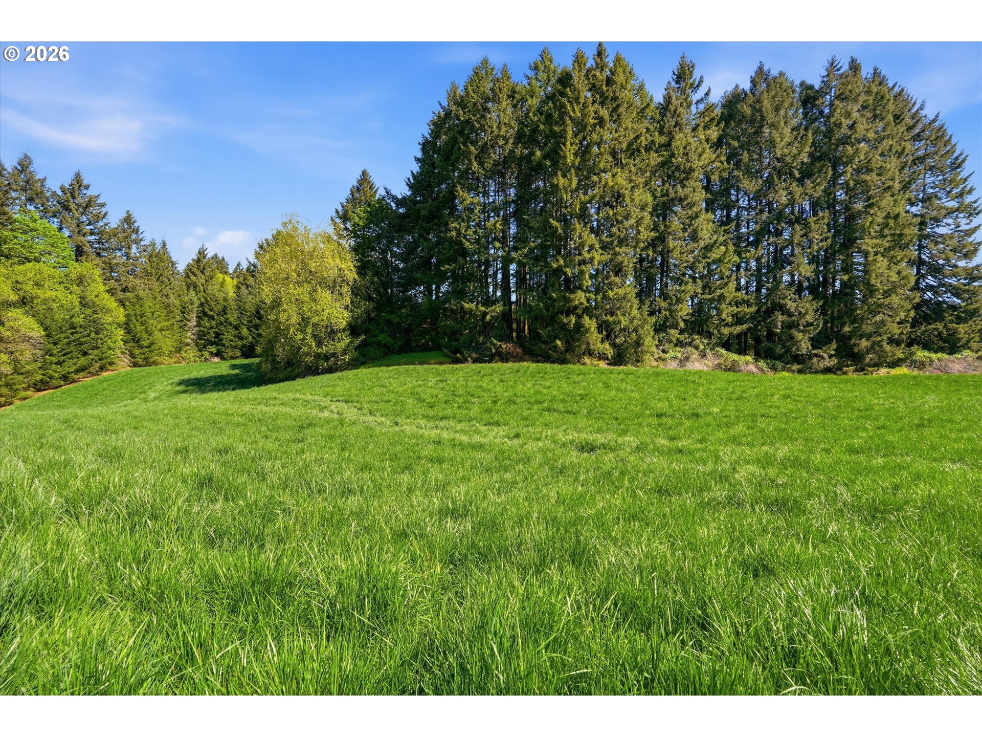 20270 Northwest Pihl Road Banks, OR 97106 - Photo 12 of 47 a view of grassy field with trees