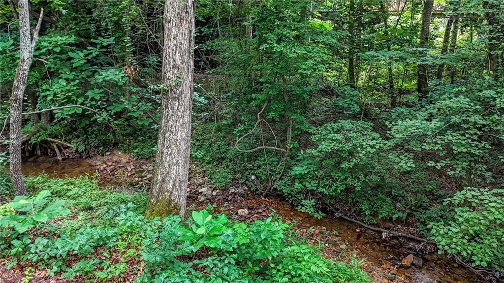 120 Longleaf Drive Canton, GA 30114 - Photo 49 of 57