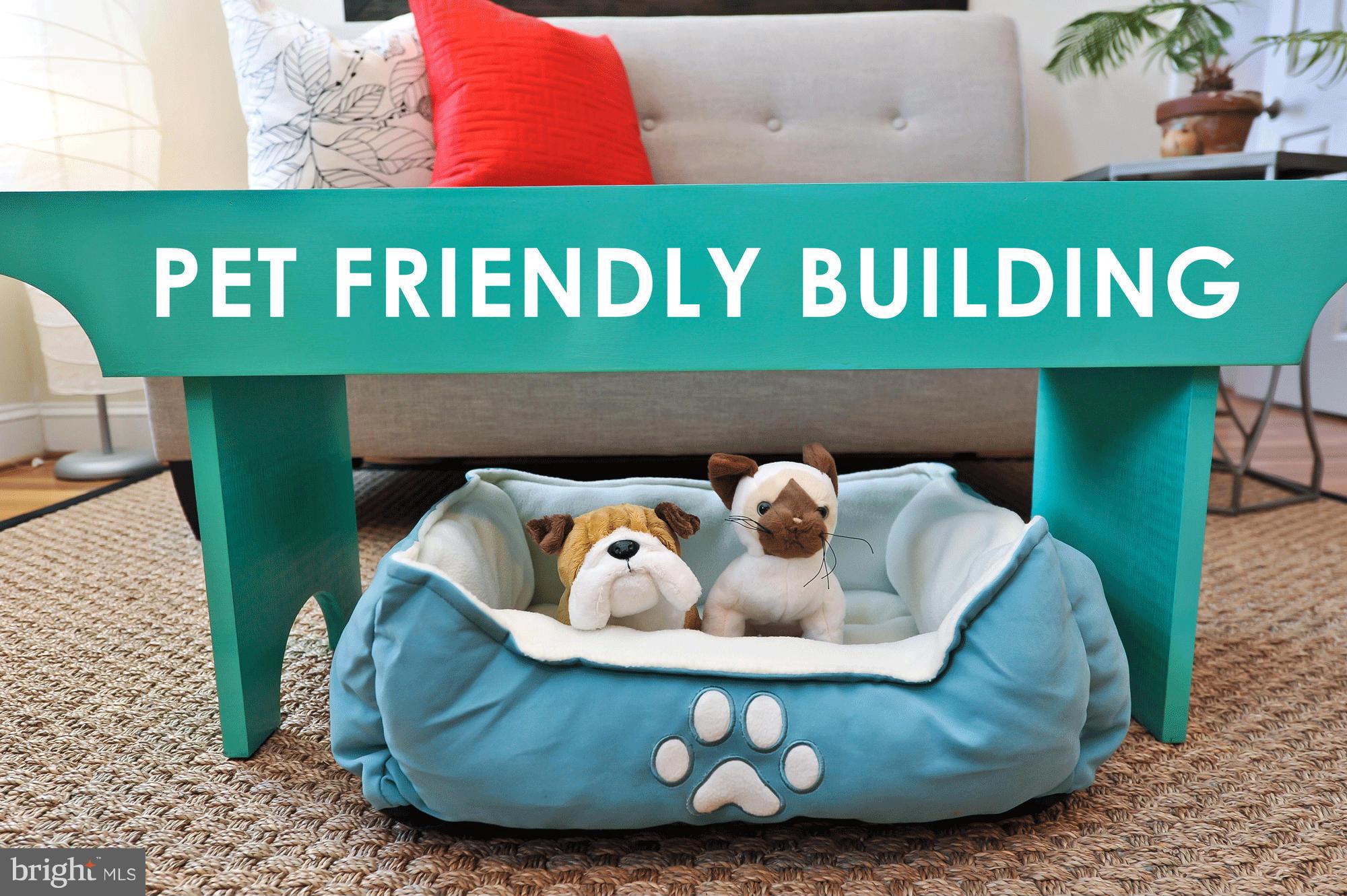 43 R Street Northwest, Unit 1 Washington, DC 20001 - Photo 30 of 30 Pet Friendly!