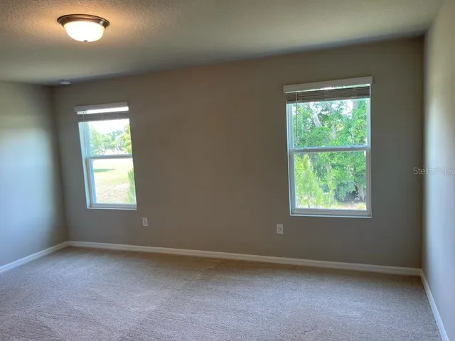 a view of a park with large trees