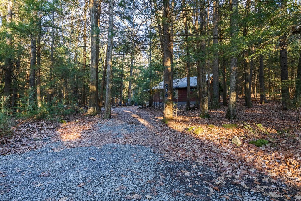 348 Forest Colony Road Clarington, PA 15828 - Photo 31 of 43