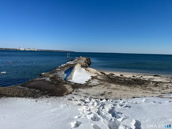 a view of a dry yard with wooden floor